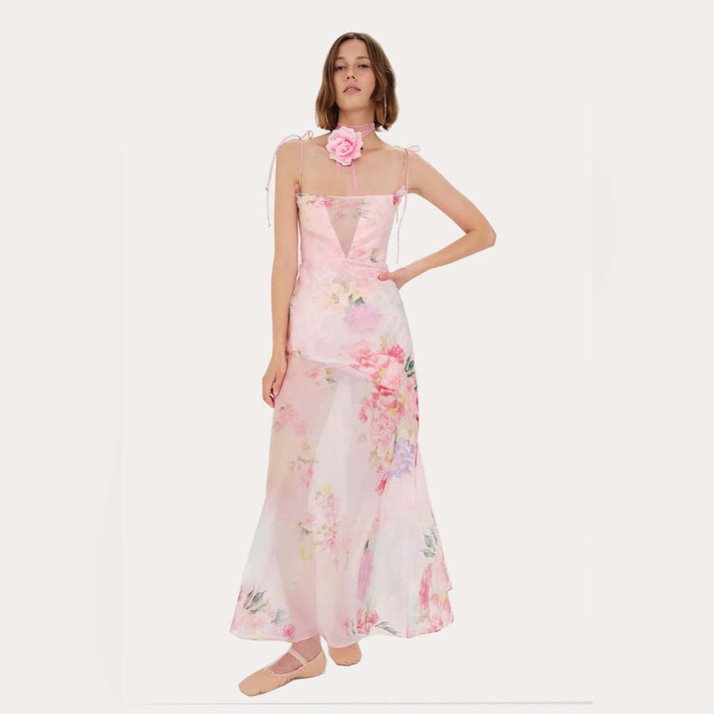 For Love & Lemons Lisa Sheer Floral Maxi Dress Pink